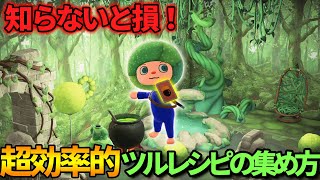 【アプデ情報】ツルとヒカリゴケレシピの効率的な集め方【あつ森】