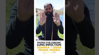 Heal Chronic Lung Infection | Shanka Mudra, Linga Mudra \u0026 Prana Mudra by Grand Master Akshar #shorts