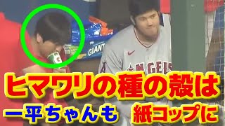 大谷翔平と同じく、ヒマワリの種の殻を紙コップに吐く一平ちゃん　水原通訳