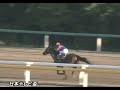 スマートファルコン 2011年 第58回日本テレビ盃 統一jpnii 優勝馬：スマートファルコン