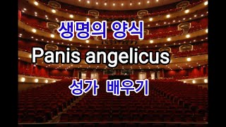 벨칸토발성법 panis angelicus 생명의 양식 성가 배우기