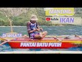 Mancing Ikan Di Wisata Pantai Batu Putih Tariknya Bertubi - Tubi