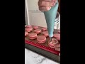 macarons macaroons