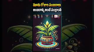 మూడు రోజుల సంబరాలు అంబరాన్ని అంటే సంక్రాంతి | OM CVR SPIRITUAL