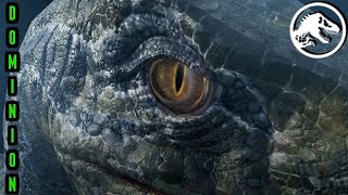 Jurassic World: Dominion Resumes Filming With Sam Neill, Laura Dern and Jeff Goldblum Tease