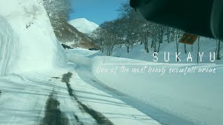 豪雪の酸ヶ湯温泉に行ってみたら天国だった。【青森県】