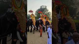 Puthanambalam Sreenarayanapuram Subrahmanya Swami Temple #ulsavam #shorts  #subrahmanyaswamy #viral