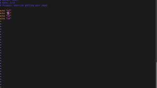 Shell Scripting 101: Getting user input