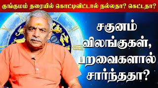 சகுனம் நிமித்தம் ஏன் பாக்காணும்... | Lalgudi Gopalakrishnan | Astrology |