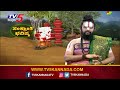 ಸಂಕ್ರಾಂತಿ ಭವಿಷ್ಯ 2025 ತುಲಾ ರಾಶಿ । makara sankranti bhavishya 2025 taurus horoscope tv5 kannada