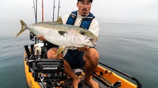 Landing a big Yellowtail on a kayak, Kevin Nakada shows you how.