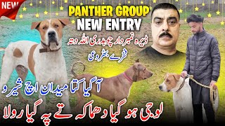 Loo Jee ! A Gaya Kutta SHERO 😍✨ Panther Group New Entry at Dera Ch Numberdar Allah Dita ||