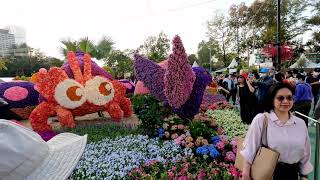 漫步香港花卉展覽 2023 Hong Kong Flower Show 2023 POV 感覺現場氣氛 真的很熱鬧  4K