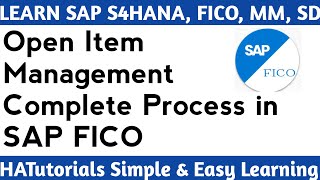 Open Item Management Complete Process in SAP S4HANA FICO