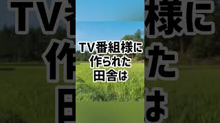 田舎暮らしは本当にいいのか？