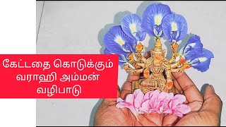 கேட்டதை கொடுக்கும் வராஹி அம்மன் வழிபாடு | varahi | வெற்றி மன நிம்மதி தரும் வராஹி வழிபாடு | பூஜை |