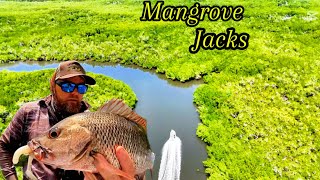 HINCHINBROOK ISLAND | LURE FISHING