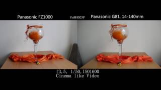 Panasonic FZ1000 vs Panasonic G81,14-140mm.