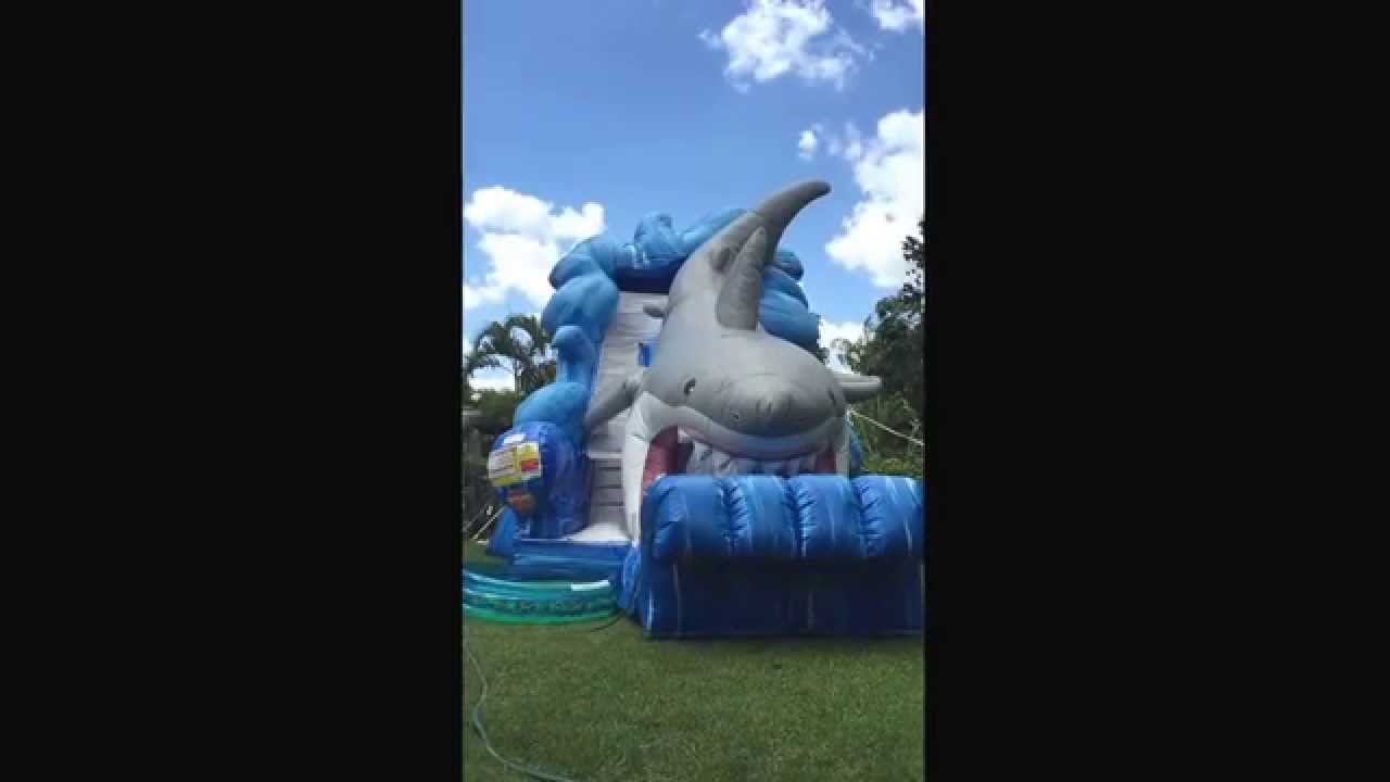 Shark Water Slide Rental In Miami, Broward County & Palm Beach ...