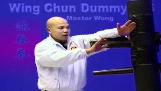 wing chun dummy training wooden dummy - Lesson 4