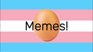 Memes from r/Egg_IRL to keep the dysphoria at bay