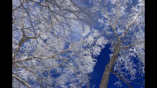 前黒山：栃木百名山・霧氷の森2020.12.04