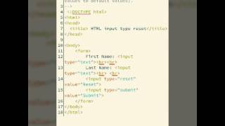 Input type Reset Tag