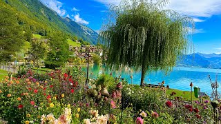 🇨🇭Most Beautiful Village In Switzerland _ Oberried am Brienzersee || Swiss Valley Walking Tour