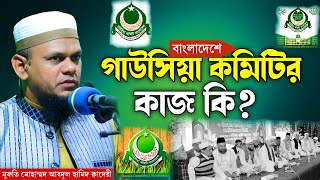 গাউসিয়া কমিটির কাজ কি || মুফতি মুহাম্মদ আবদুল হামিদ ক্বাদেরী || Gausia Committee Bangladesh