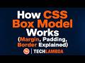 How CSS Box Model Works (Margin, Padding, Border Explained)