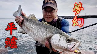 東北角陰陽海平鱸flyfishing 夢幻海鱸（平鱸）TAIWAN  FLYFISHING  CUVIER（Hira suzuki）