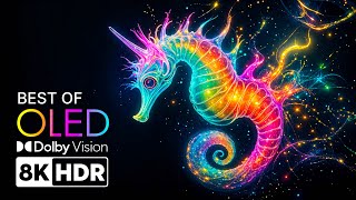 최고의 OLED 테스트 - 8K HDR의 마법 같은 색상 혼합 | 돌비 비전™