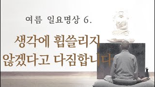 생각에 휩쓸리지 않겠다고 다짐합니다ㅣ여름 일요명상 6.ㅣ제따와나선원 2023.07.09.