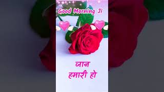 Good Morning status Love Shayari | wishes for everyone