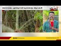 മലമ്പുഴയിൽ ജനവാസമേഖലയിൽ കാട്ടാനക്കൂട്ടം ഇറങ്ങി ഒരേസമയം എത്തുന്നത് മുപ്പതോളം ആനകൾ