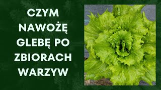 Nawożenie gleby przed uprawami 🍅 producenci super nawozów ‼️