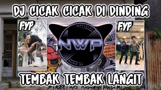 DJ CICAK CICAK DI DINDING X TEMBAK TEMBAK LANGIT VIRAL TIK TOK TERBARU 2024