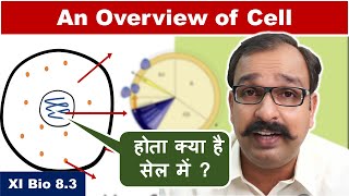 An Overview of Cell | क्या होता है सेल में