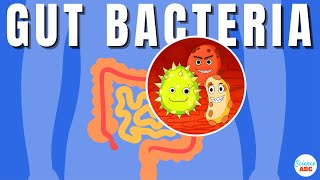Gut Microbiome Explained in Simple Words