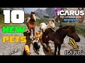 NEW Icarus Pet Companions Pack DLC - What's In it?