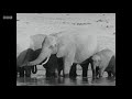 2. Adventure Zambezi: The Ancient Highway (1965)  David Attenborough