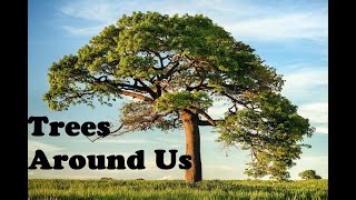 Trees Around us. An Introduction. |  നമുക്കു ചുറ്റുമുള്ള വൃക്ഷങ്ങൾ.. ഒരു ആമുഖം .