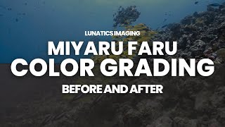 Color Grading Underwater Video DaVinci Resolve | Sony FX3 Slog3 | Diving Miyaru Faru