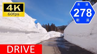 【車載動画】豪雪の上越山間部②：新潟県道278号牧横住線/425号高尾田島線 [4K]