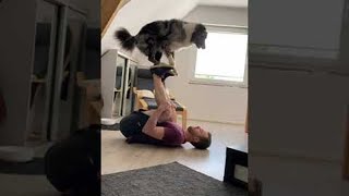 Australian Shepherd Learning a New Acrobatic Trick || ViralHog