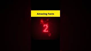 Top 3 Amazing Facts Awesome #factbeast #shorts