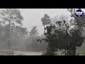 cyclone amphan west bengal और odisha में तबाही जानिए तूफान की ताजा स्थिति वनइंडिया हिंदी