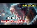 ULAR TERBESAR DI ALAM SEMESTA | ULAR FALAK