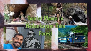 Tourist and historical places in Nedunkayam Rain Forest