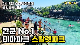 [CANCUN] 칸쿤 스칼렛아르떼 호텔 올인클루시브 스칼렛 파크